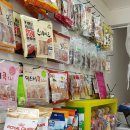 띠울 애견미용 이미지