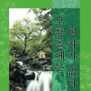 오룡골 Daum카페