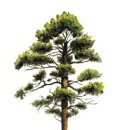 북이초등학교 이미지