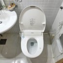 대중도기 이미지