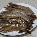 푸르미작업장 이미지