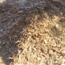 장계농장 이미지