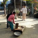 대반초교 이미지