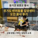 수원시동물보호센터정문 | [경기도 반려동물 입양센터] 수원 유기견 보호소 오전 봉사 후기 + 신청 방법 + 주차 + 강아지 소개 🐶