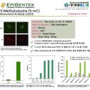 (주)부경에스엠 | [Epigentek] 5-Methylcytosine (5-mC) Monoclonal Antibody [33D3] (Cat #. A-1014)
