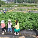 가족농장 이미지