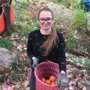 형준농장 이미지