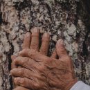 주식회사 큐리언트 이미지