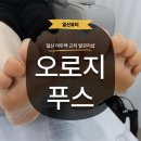 오소틱 | [일산] 발각질관리 고민이라면? 오로지푸스 일산마두점에서 엄마 발각질 케어 받은 후기