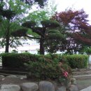 원촌초등학교 이미지