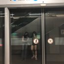 아이에프씨약국 | 8月 HONGKONG