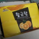 성호청과 - 남해군 남해대로2698번길 7 | 성호청과