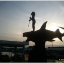 바우길 12구간 이미지