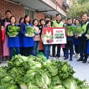 새빛유통 이미지