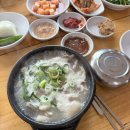 양명숙암뽕사골국밥 | 광주 송정역 '양명숙 암뽕사골 국밥' 김치가 존맛인 찐해장 맛집