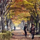 창원광장 앞 중앙대로 이미지