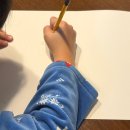 재미있는 달걀물감 아트 템페라 창작미술 | 집에서 만난 특별한 미술 수업, 아트모마 방문 미술 후기