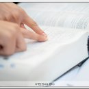 법무법인금양 이미지
