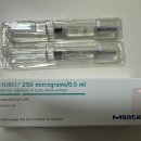 대진약국 | 서울역 차병원 시험관 신선 2차 난자채취 전까지의 진료 후기(12.3, 12.6, 12.10, 12.12.)