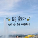 [마인드] 예쁜 말로 사랑받는 사람들이 하지 않는 것 이미지