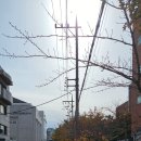 이화경로당 이미지