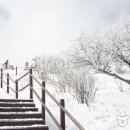 오대산비로봉식당 이미지