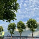 은빛77번길 이미지