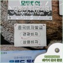 화신여행사 이미지