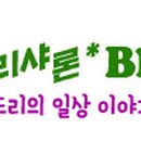 바오드리