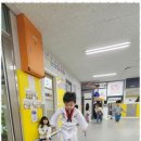 수 태권도 인성교육관 이미지