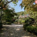 숲속의궁전모텔 이미지