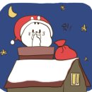 루미살롱 이미지