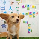 퍼밀리 이미지