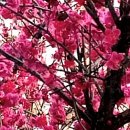 황실미용실 - 서산시 | 황실미용실