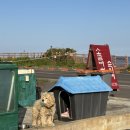 순이네야식 이미지