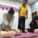 원각선원 Daum카페