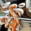 신사샤르망에스 이미지