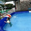 어울림 펜션 | [전북 정읍 숙소] 대전 근교 1박 2일 아이와 가볼 만한 곳ㅣ 🌿 정읍 황토현 권역 어울림 펜션 후기-1탄