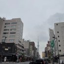 여행트리 이미지