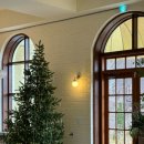 고양덕양동물약국 | [덕양구] 고양대형카페 분좋카, 서울근교 드라이브 반려동물동반가능:: 휘우커피