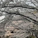 보약 한 첩 먹고 나면 / 민예 김미화 이미지