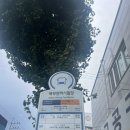 덕포자동차운전학원 | 덕포자동차운전학원 내돈내산 강사님, 북부면허시험장 1종 자동 기능시험 후기