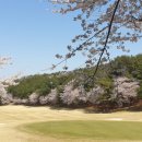 통도CC 골프연습장 이미지