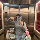 코끼리 키즈짐 | 푸켓 여행 5 마지막날 기록 코끼리 체험·키주나·대한항공 KE678 기내식