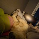 아산참조은의원 이미지