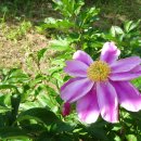 쌍용베스트부동산공인중개사사무소 이미지