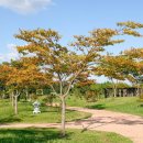 군산시 공영자전거 무인대여소 이미지