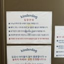 킨더독 이미지