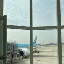 일등카박사 | 🇨🇭7박9일 스위스 신혼여행| Day1,2 취리히 - 루체른에서 그린델발트로