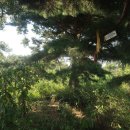 의흥휴게소 이미지